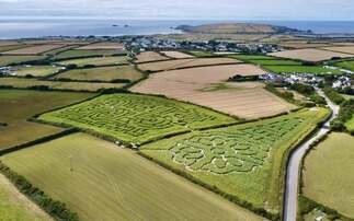 Diversification: New Cornish attraction to honour hard working farmers