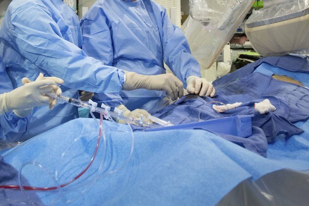 Heart Disease Study Finds Meds Work as Well as Surgery