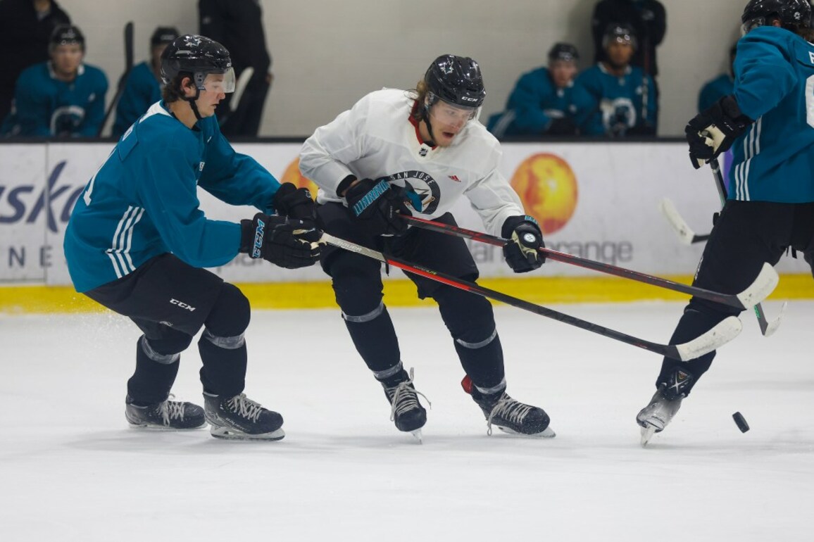 San Jose Sharks sign Cameron Lund, who starred at Northeastern