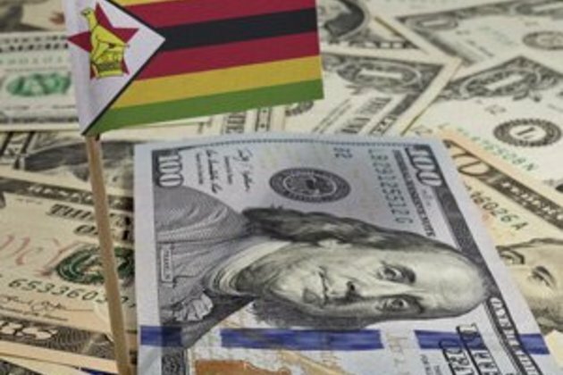 Zimbabwe can?t pay for imports, narrows trade deficit