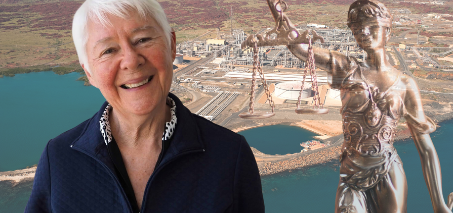 Opinion: What the intervention of the UN special rapporteur as an 'amicus curiae' means for the legal challenges against Woodside's North West Shelf project