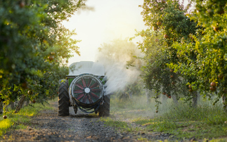 Pesticide Action Network calls for UK ban on 'toxic' herbicide glyphosate