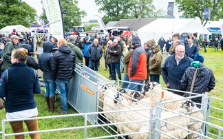 Record crowds flocked to NSA North Sheep 2025 despite downpours  