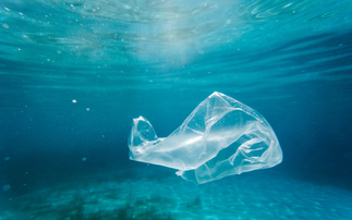 Global Plastics Treaty: Talks collapse without deal to end plastic pollution crisis