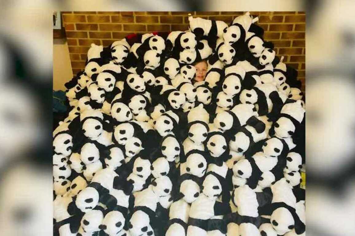 Fourth-grade continues tradition of donating stuffed bears