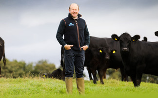 Native genetics key to sustainable beef production on Scottish farm