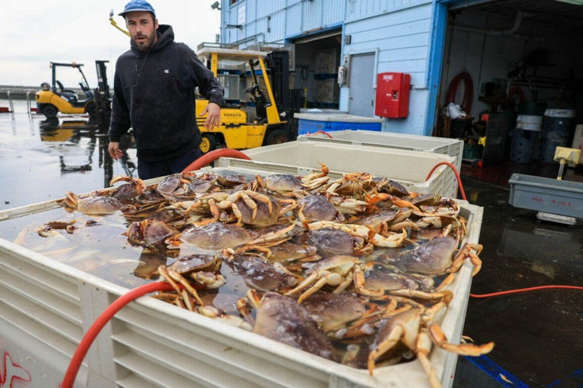 Commercial Dungeness crab season closes in Monterey Bay