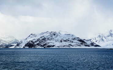 'One of the world's largest': Sustainable Markets Initiative unveils plan to create Antarctica marine protected area