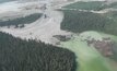  The aftermath of the Mount Polley tailings spill