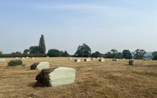 At least 50 bales of hay were cut open in an incident of criminal damage on an East Staffordshire farm (Staffordshire Police's Rural and Wildlife Crime Team)