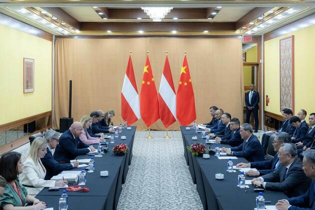 China ready to work with Austria for better global governance -- premier