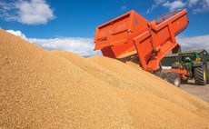 Keeping an eye on the grain market - April 1 update