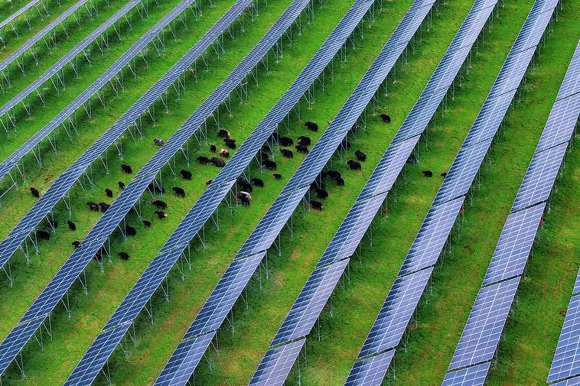 Major high-altitude PV project begins operation in SW China