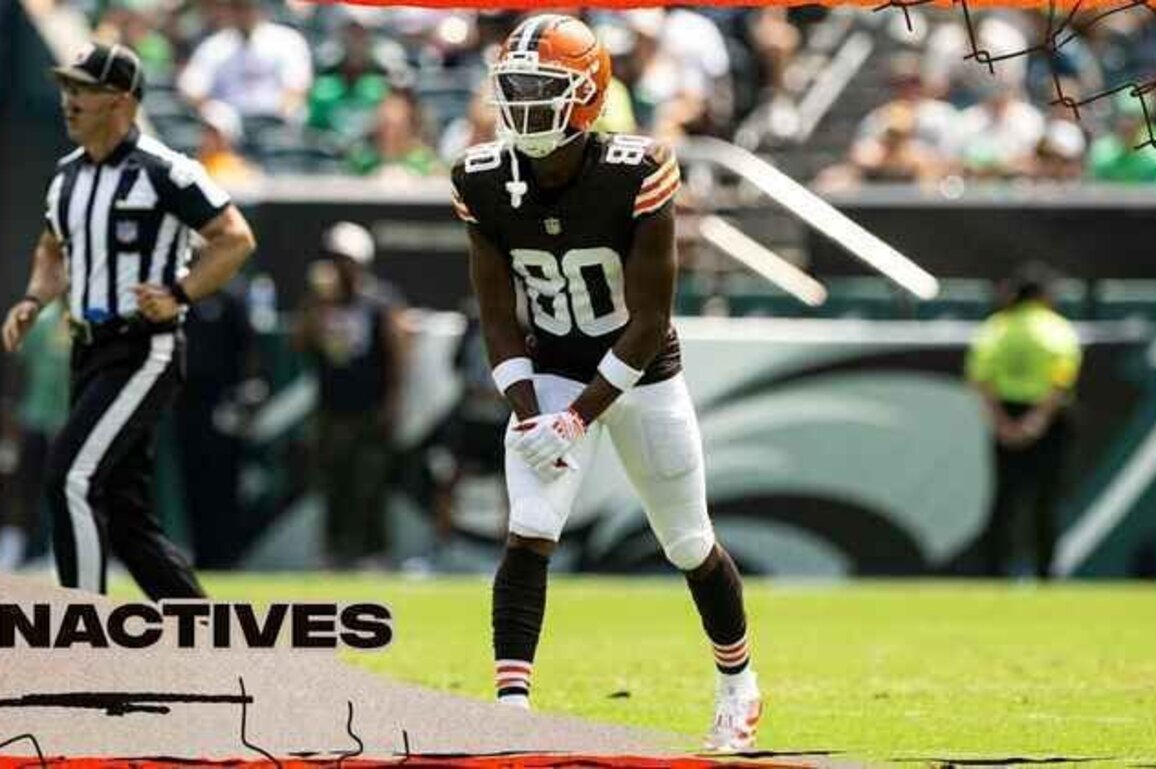 Browns announce inactives for Week 11 against the Ravens