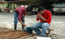 Inspection of core from exploration by Medusa on Mindanao Island in the Philippines.