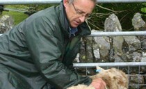 Welsh farmer died after falling 10-feet into a slurry pit