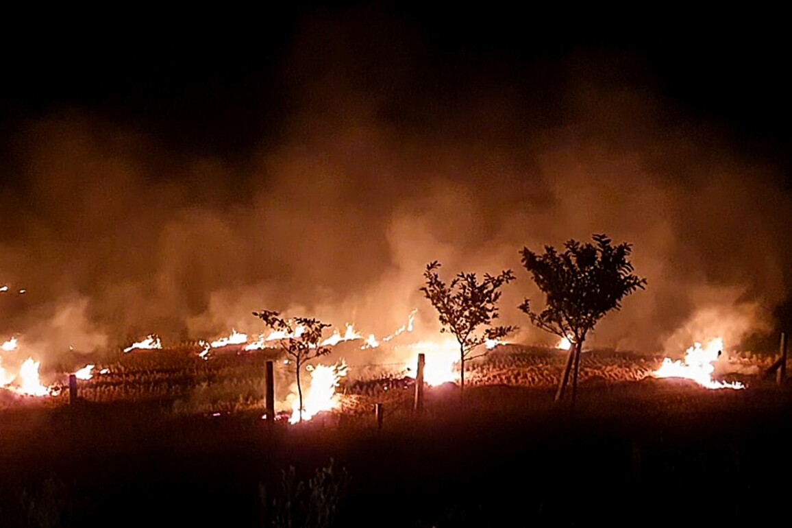 CAQM issues notice to Fatehabad DC for failing to curb stubble burning in Haryana