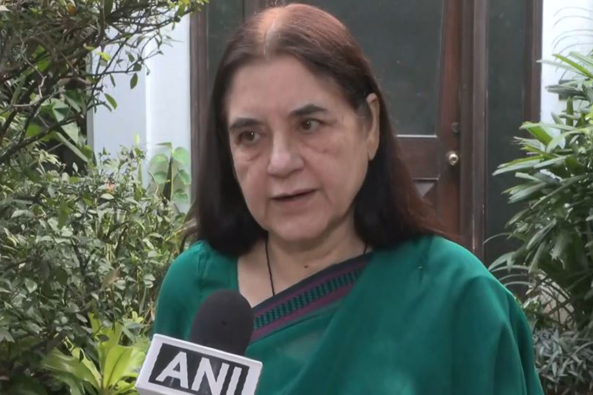 "This cannot be put into practice...": Maneka Gandhi criticizes SC ruling on stray dogs as impractical