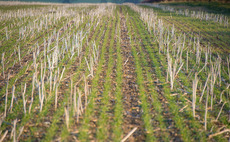 Multi-pronged approach to sustainable farming - one farmers no-till journey