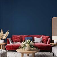The Color Comeback - Park Record