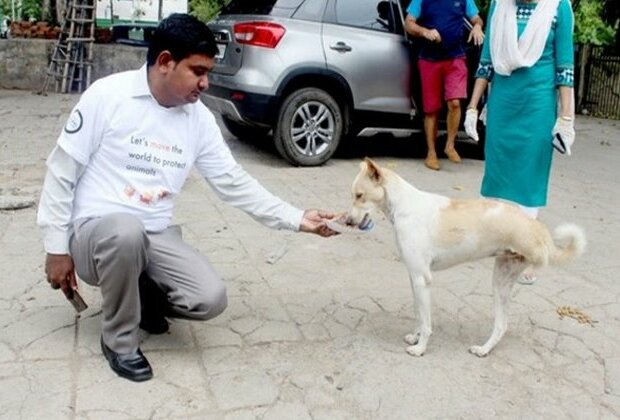 This International Dog Day make your locality animal friendly