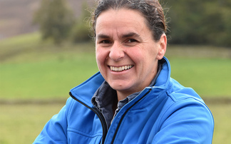 In your field - Kate Rowell: "It's taken seven years to build numbers back to where we were before the Beast from the East"