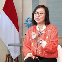 Indonesia's national-level Chinese New Year celebration to enhance cultural understanding, says senior official