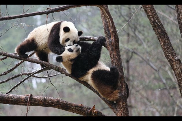 Ancient Chinese concept of harmony continues to influence modern life
