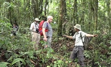  Aurania Resources found evidence of an old road as it searches for the “lost cities of gold” in Ecuador