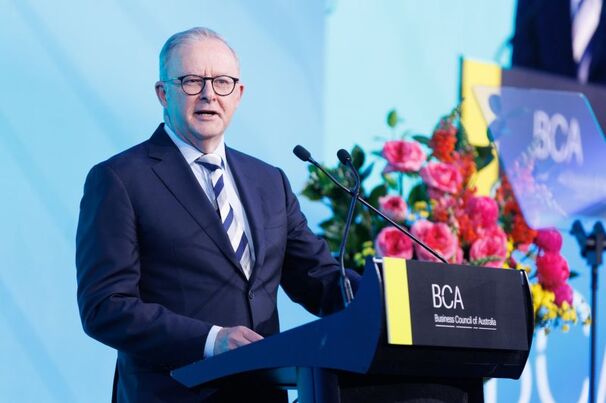 PM calls for corporate Australia's backing on emissions cuts