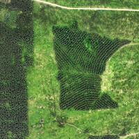 Brown- No place for myth in future of Minnesota forest industries