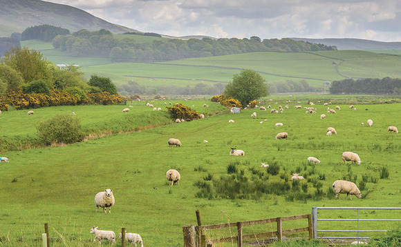 Fresh independence plans set to shape Scottish farming