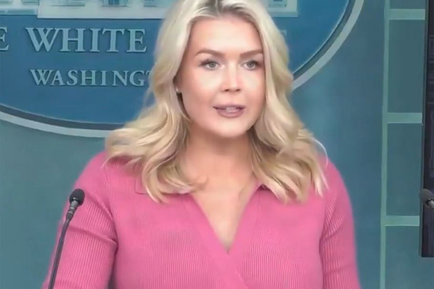 White House says zero illegals released into US over past 9 months