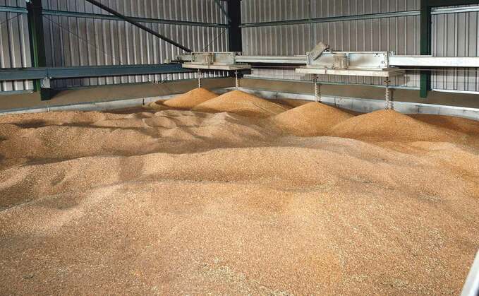 Keeping an eye on the grain market: UK wheat futures prices plunge below £200/t