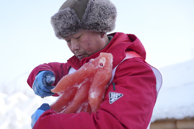 CHINA-HEILONGJIANG-HARBIN-PLANT-DYED-ICE SCULPTURES (CN)