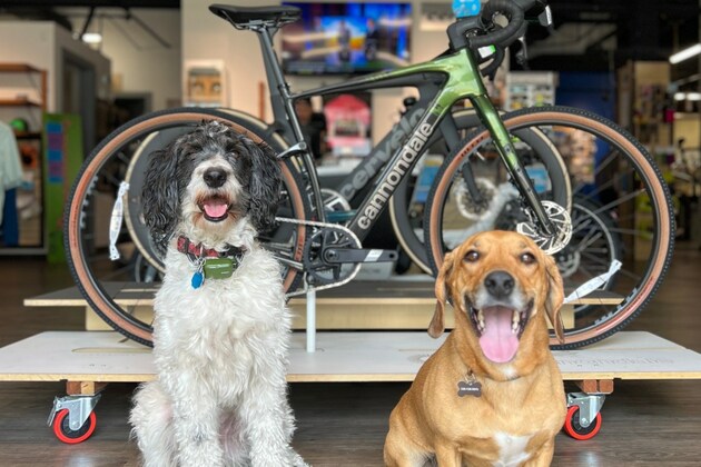 Mike's Bikes in Denver has good vibes, dogs and great bikes