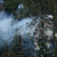 Canada's wildfires burn more than 5.5 million hectares