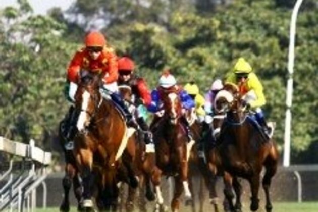 &#039;Mass slaughter&#039; of Australian racehorses rocks industry