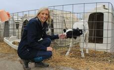 Daera's Nutrients Action Programme changes could 'devastate' Northern Ireland's farming sector