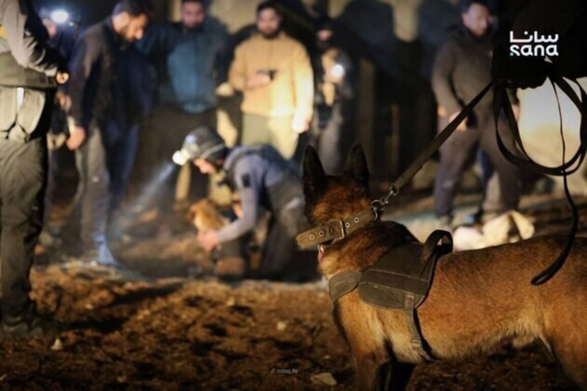 Syrian authorities bust major drug trafficking network in Hama