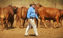  Forrest at home with his herd