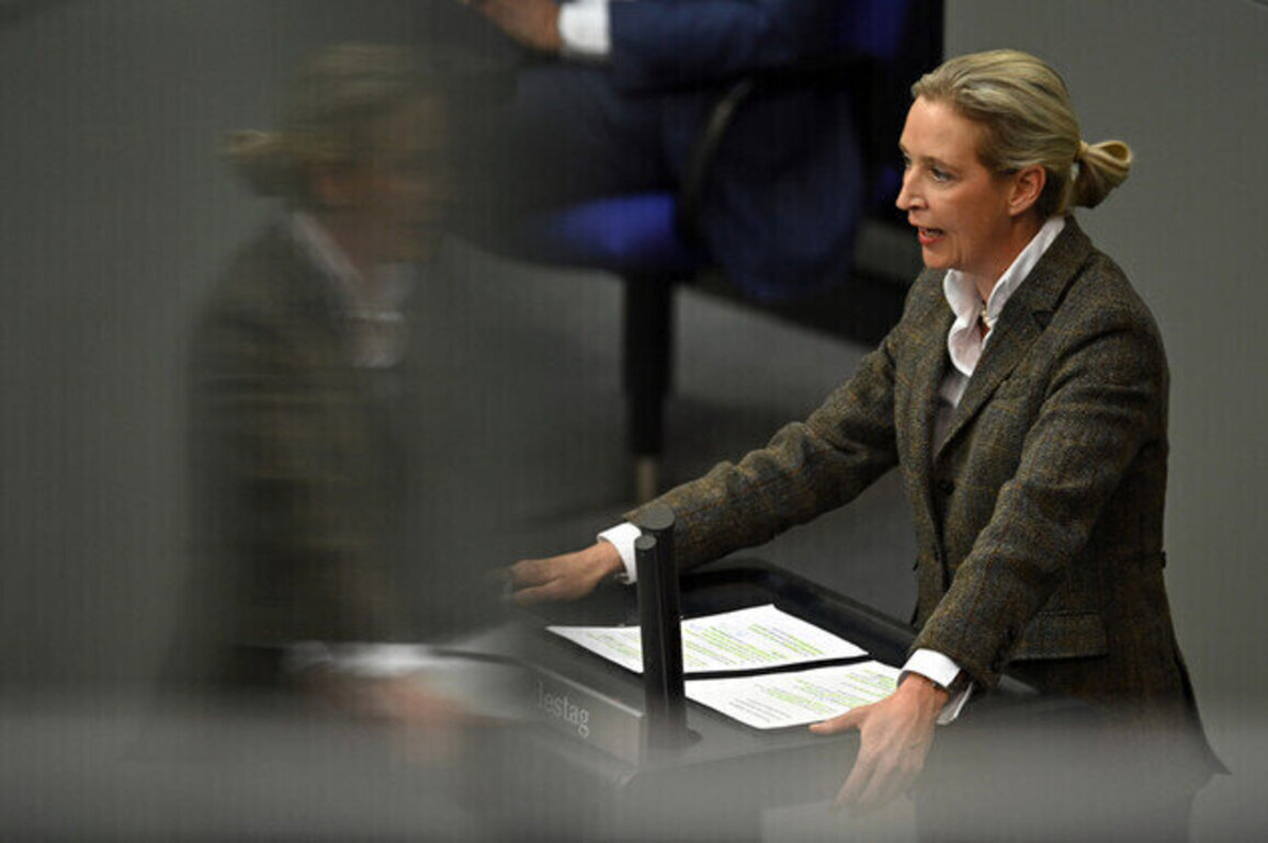 AfD co-chair calls for end to funding corrupt Ukraine