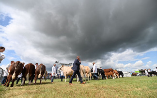 Dealing with the disease this show season