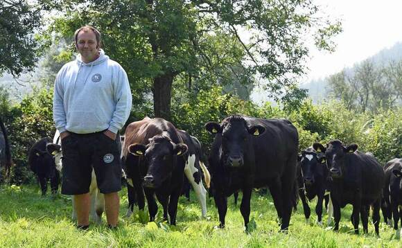 Farmer's heartbreak as bovine TB wipes out entire dairy herd