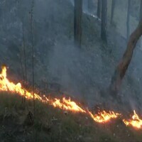 Massive fire breaks out near Shimla's Boileauganj mental hospital; 1,000 sq ft area affected