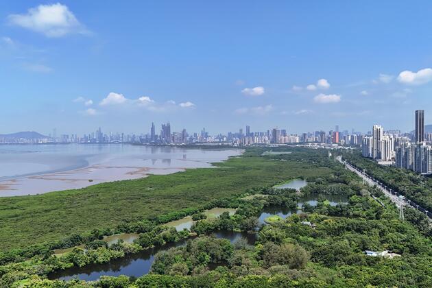 100 days to APEC: Shenzhen's green choices applauded