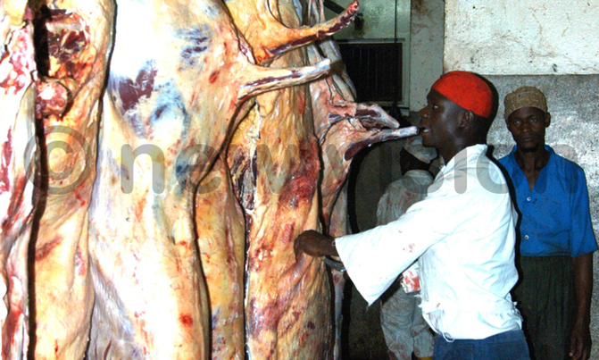 Beef industry asks for increased government support Beef industry asks for increased government support