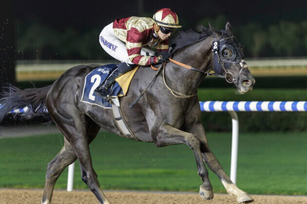 Saffie Osborne aims to compete in two races at Dubai World Cup