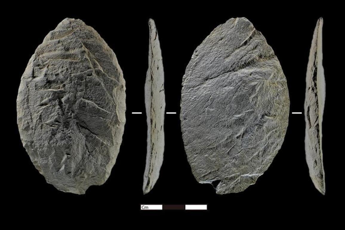 Chinese researchers uncover record-high evidence of ancient human activity on eastern Qinghai-Tibet Plateau