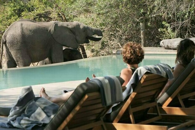 Communities near South Africa's Kruger National Park prefer wildlife-friendly ways to earn a living over killing animals
